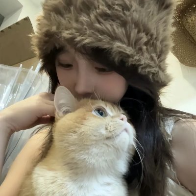 鬣狗之城